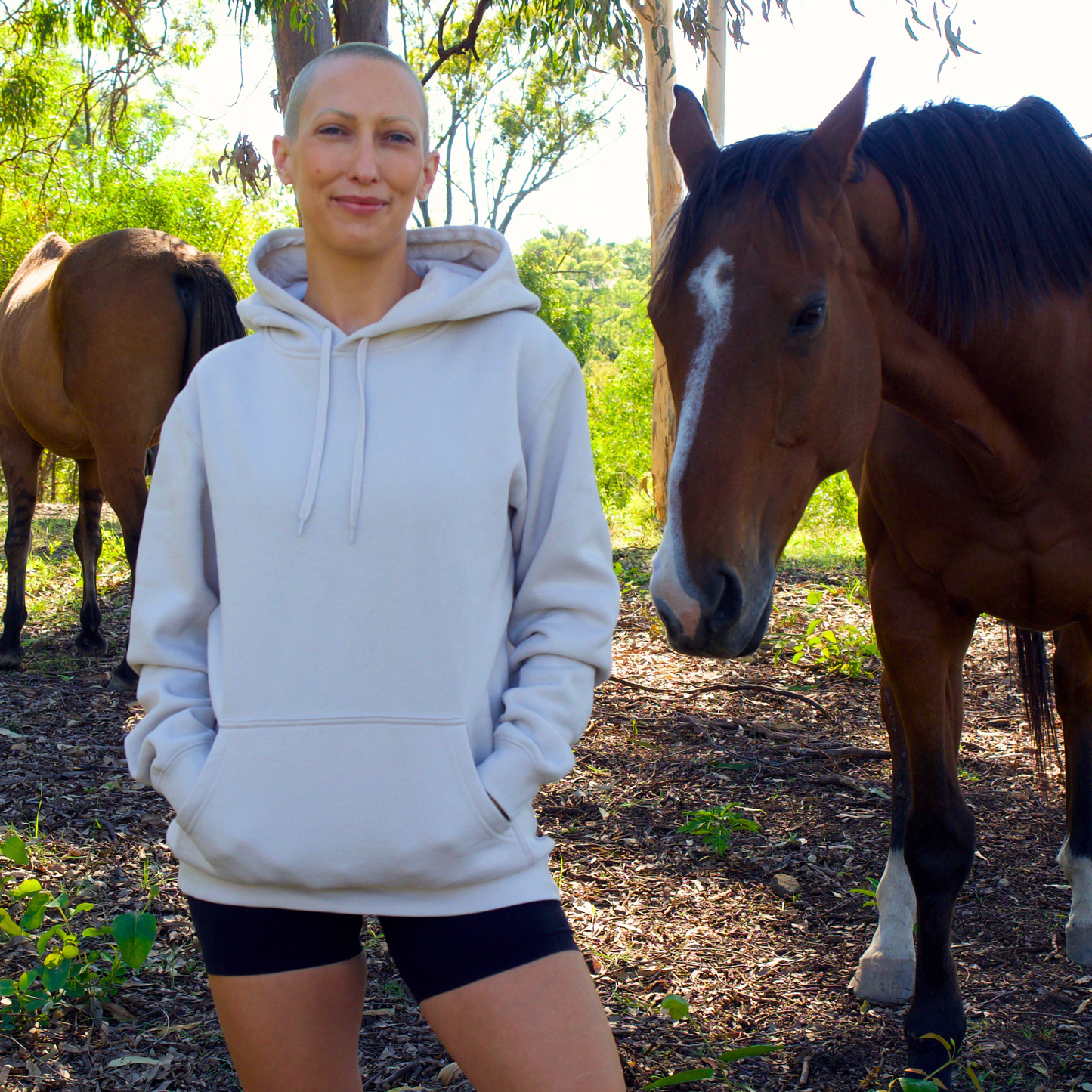 Sponsor Sparkles the Horse