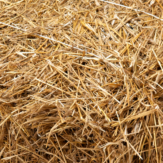 Donate a Small Bale of Hay