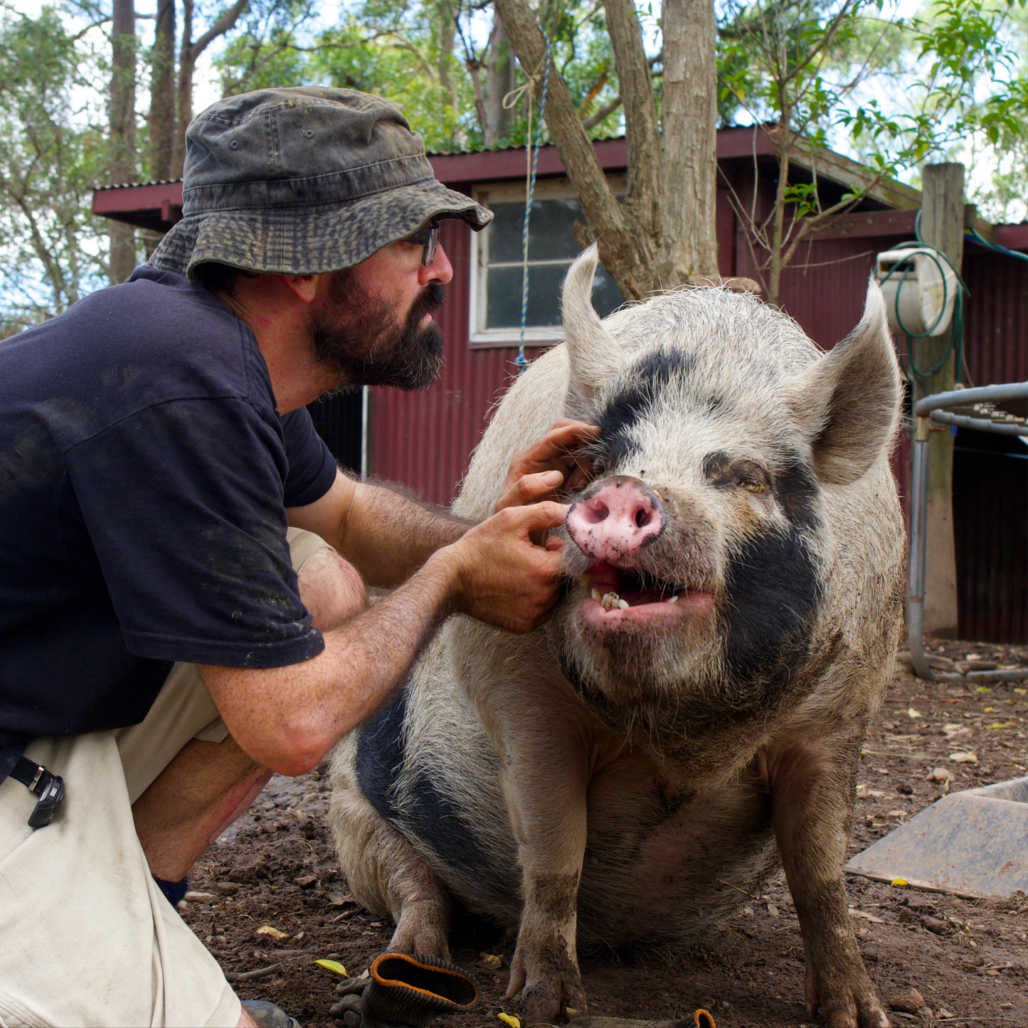 Sponsor Pepper the Pig