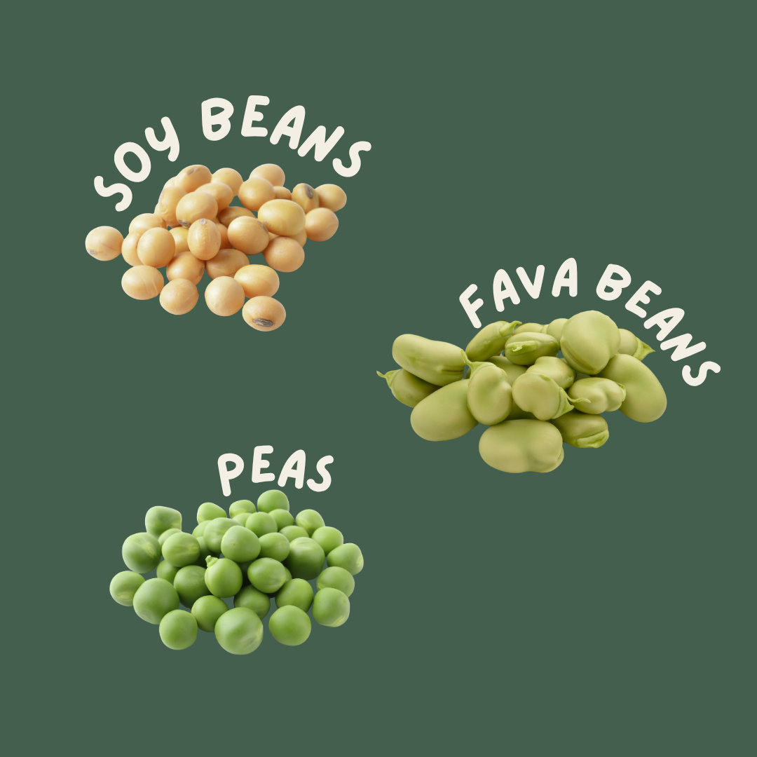 Gaia's Pantry - Plant Based Dog Food